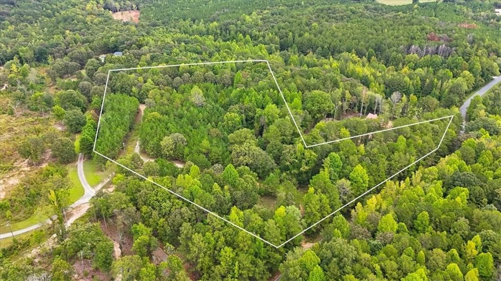 unimproved land for sale at 138 Roy Dean Road, Buchanan, GA 30113 — photo 7