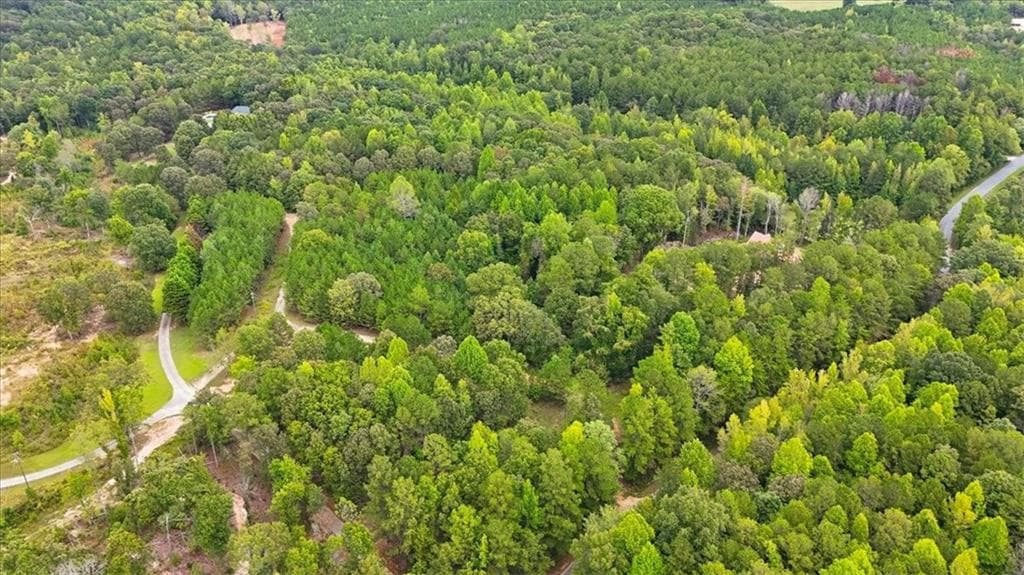 unimproved land for sale at 138 Roy Dean Road, Buchanan, GA 30113 — photo 8