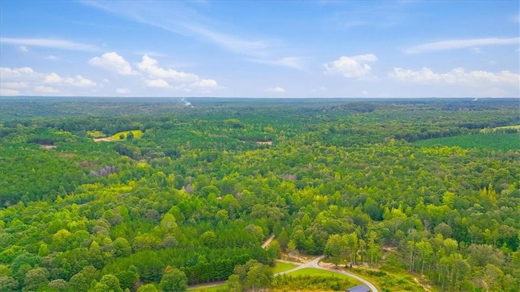 unimproved land for sale at 138 Roy Dean Road, Buchanan, GA 30113 — photo 9