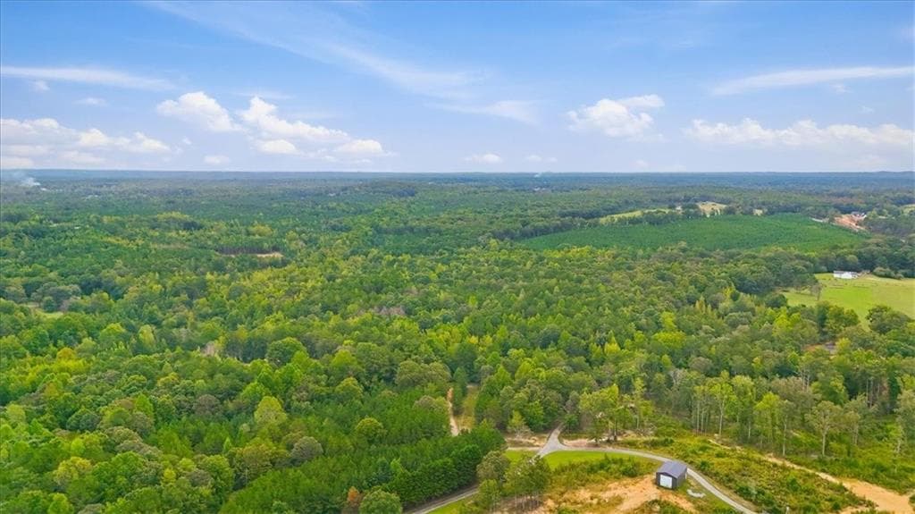 unimproved land for sale at 138 Roy Dean Road, Buchanan, GA 30113 — photo 10