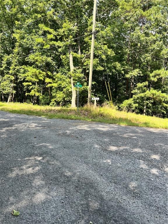 single family residence for sale at 1407 Foxhound Trail, Ranger, GA 30734 — photo 4