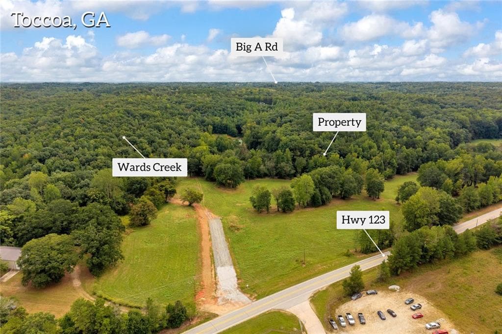 unimproved land for sale at 2104 Hwy 123, Toccoa, GA 30577 — photo 2