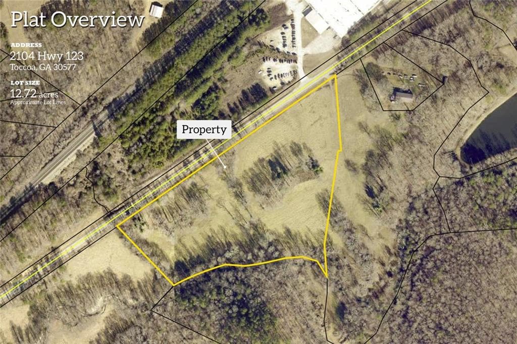 unimproved land for sale at 2104 Hwy 123, Toccoa, GA 30577 — photo 3