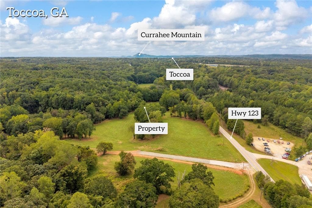 unimproved land for sale at 2104 Hwy 123, Toccoa, GA 30577 — photo 4