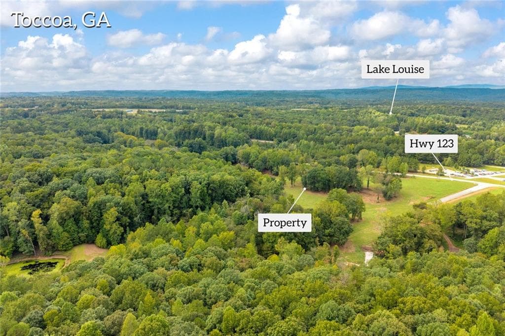 unimproved land for sale at 2104 Hwy 123, Toccoa, GA 30577 — photo 5