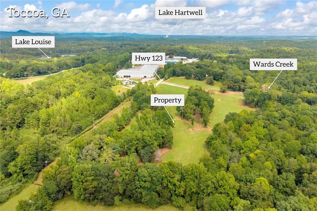 unimproved land for sale at 2104 Hwy 123, Toccoa, GA 30577 — photo 6