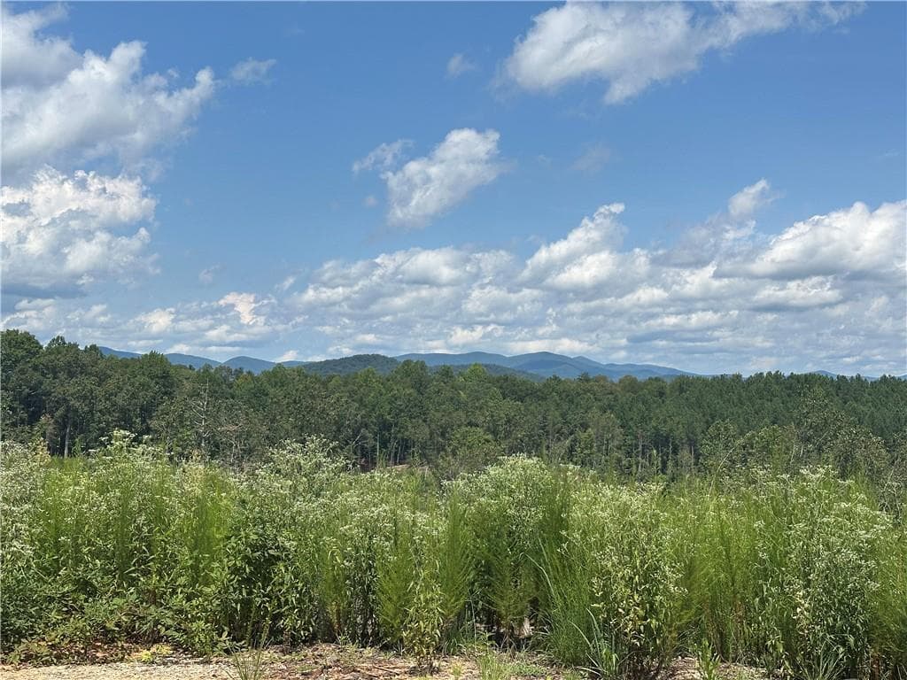 home for sale at 0 Larmon Forks Road, Dahlonega, GA