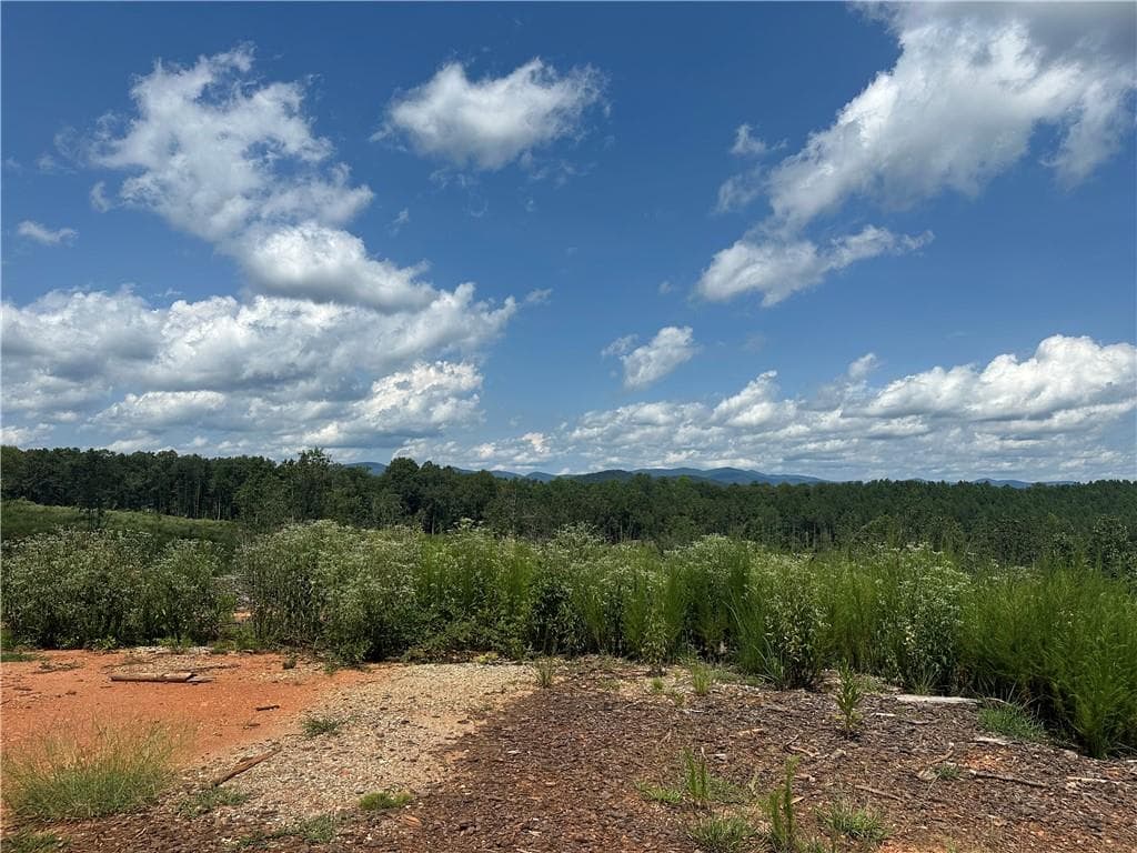 single family residence for sale at 0 Larmon Forks Road, Dahlonega, GA 30533 — photo 2