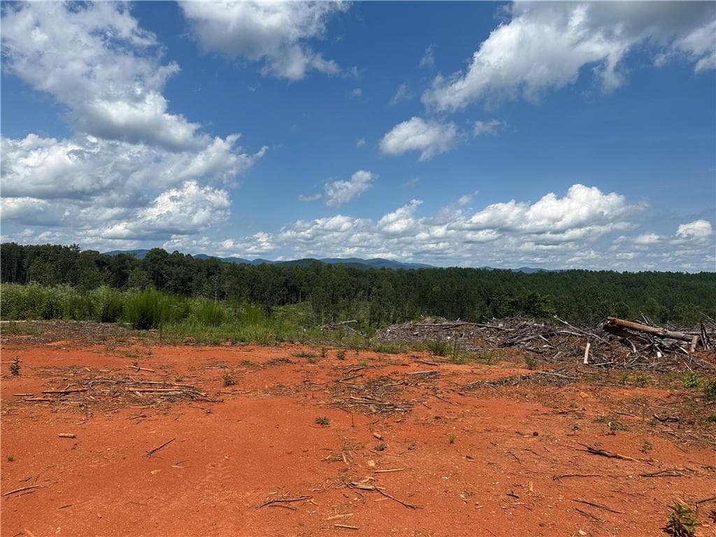 single family residence for sale at 0 Larmon Forks Road, Dahlonega, GA 30533 — photo 3