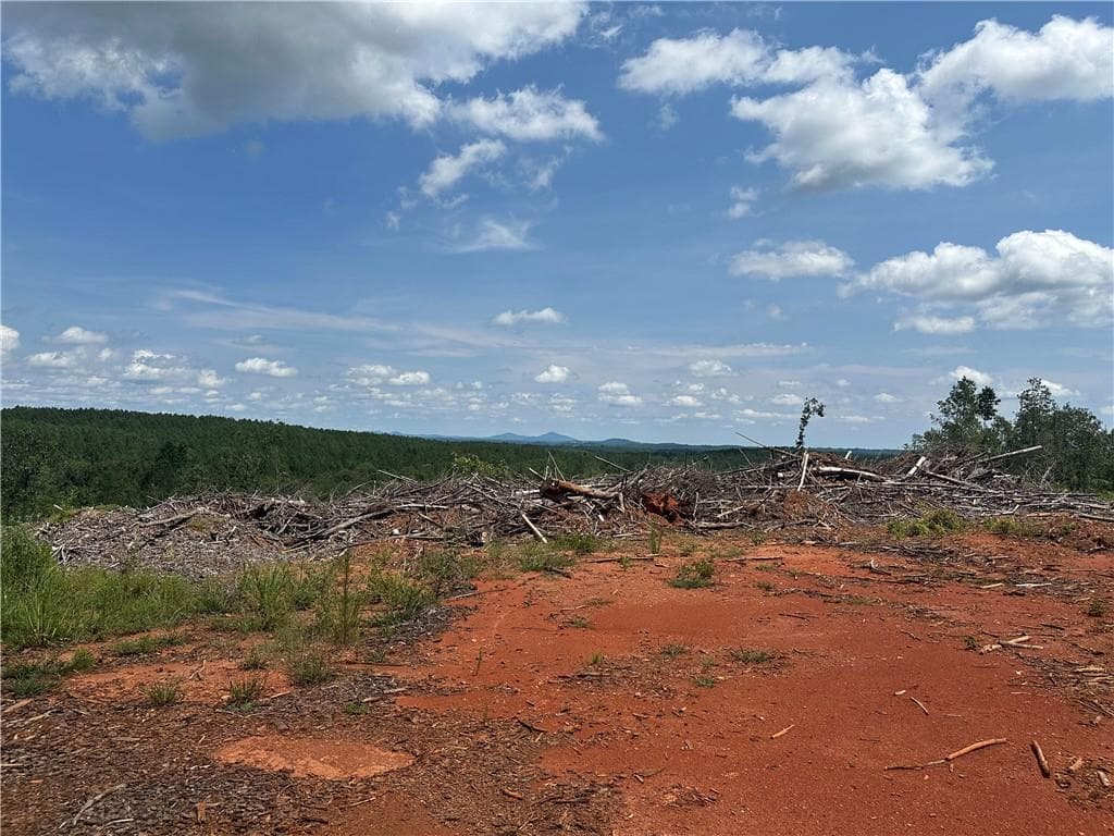single family residence for sale at 0 Larmon Forks Road, Dahlonega, GA 30533 — photo 4