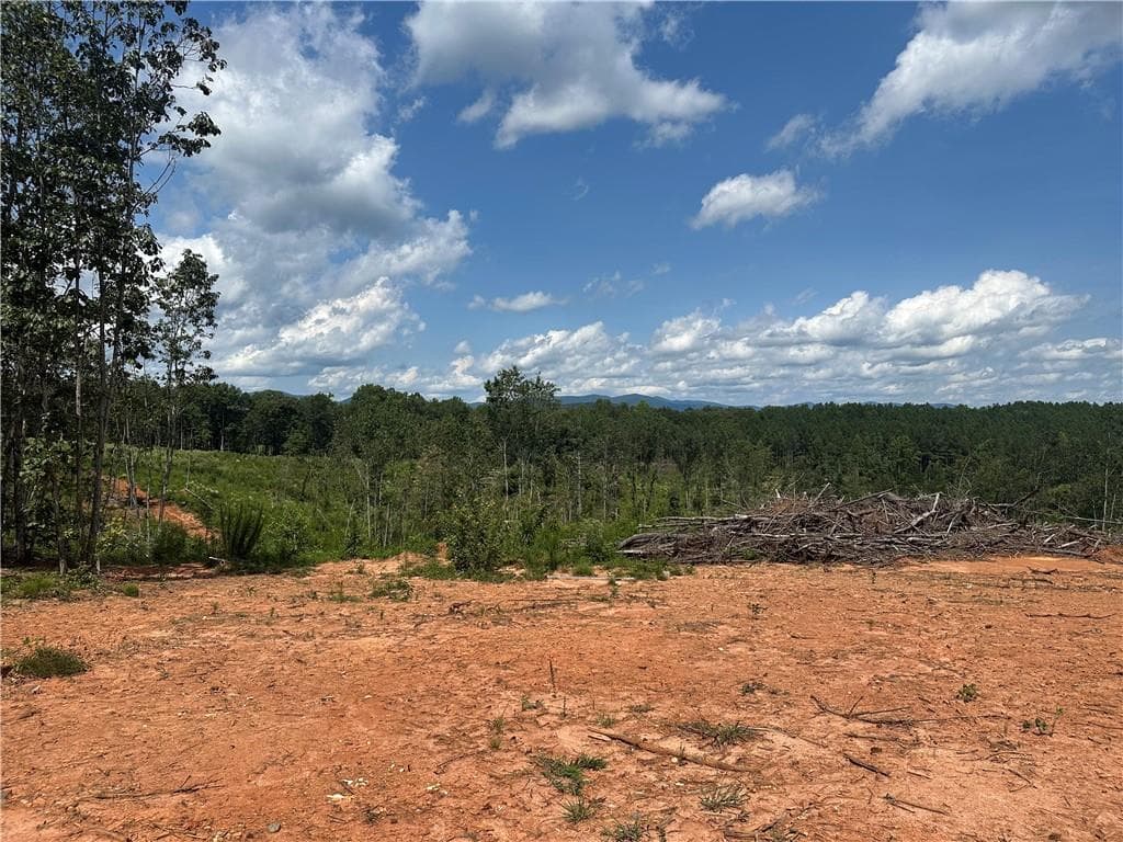 single family residence for sale at 0 Larmon Forks Road, Dahlonega, GA 30533 — photo 6