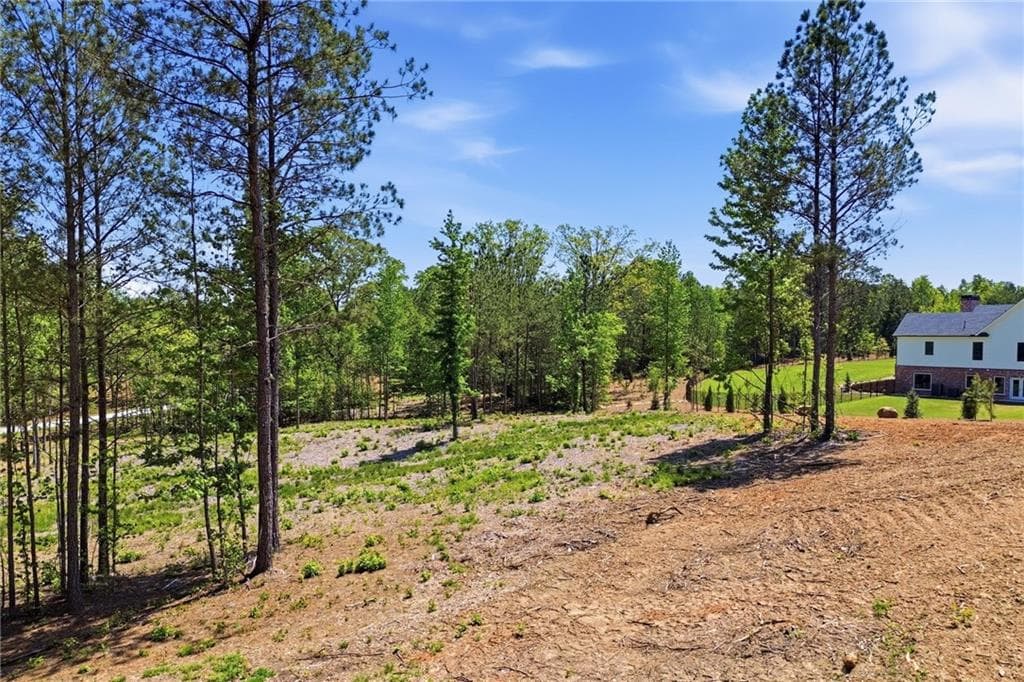 single family residence for sale at 460 Mt. Olive Church Lane, Canton, GA 30114 — photo 8