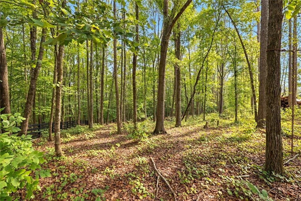 single family residence for sale at 421 River Bluff Lane, Ball Ground, GA 30107 — photo 2