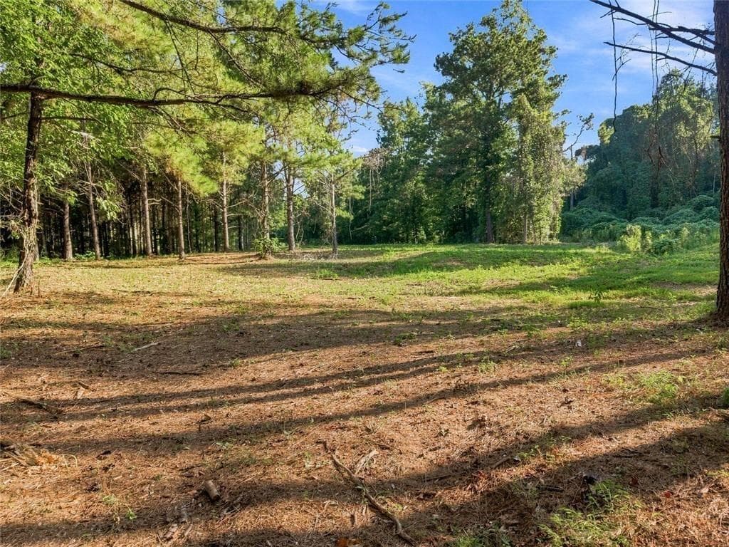 unimproved land for sale at 283 Leo Taylor Lane, Ball Ground, GA 30107 — photo 1 of 15