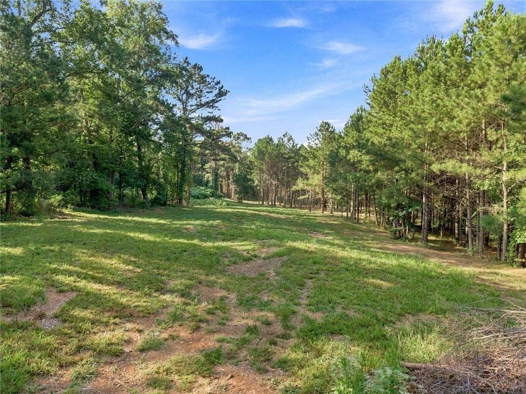 unimproved land for sale at 283 Leo Taylor Lane, Ball Ground, GA 30107 — photo 2