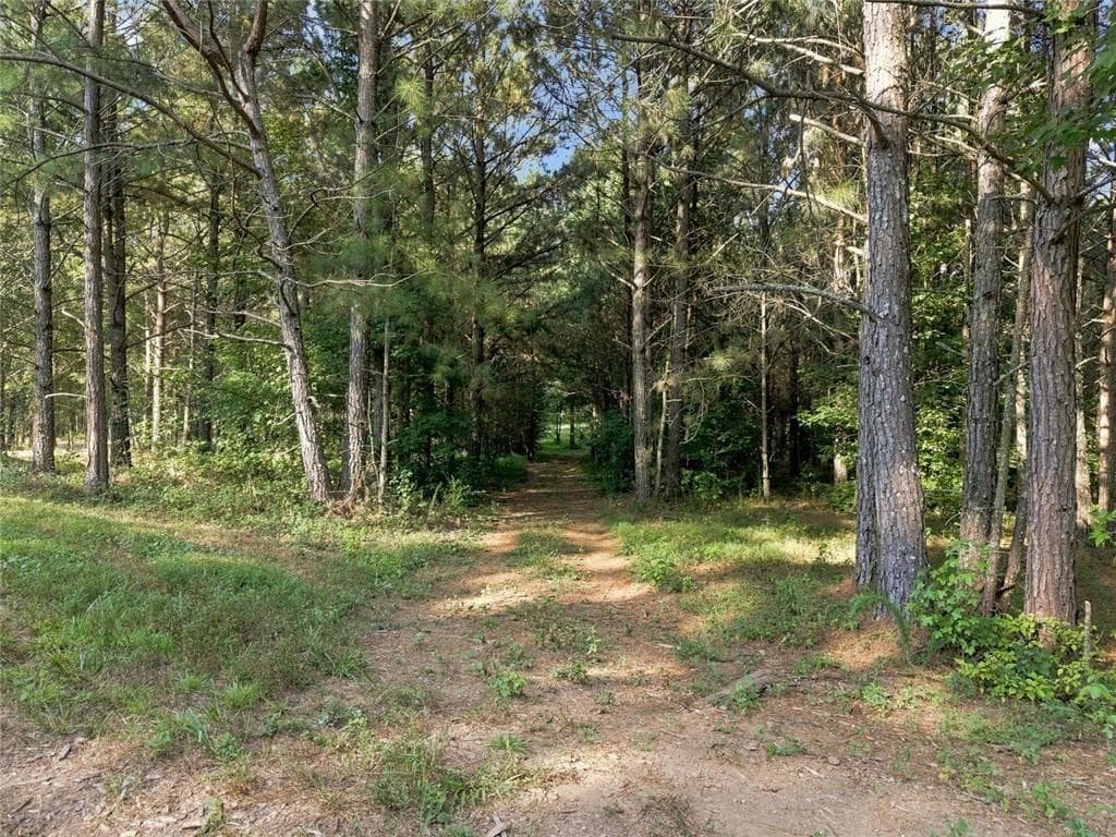 unimproved land for sale at 283 Leo Taylor Lane, Ball Ground, GA 30107 — photo 4