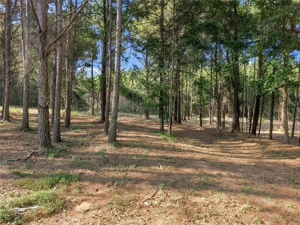 unimproved land for sale at 283 Leo Taylor Lane, Ball Ground, GA 30107 — photo 5