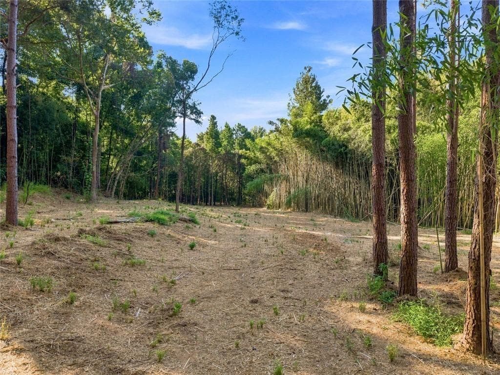 unimproved land for sale at 283 Leo Taylor Lane, Ball Ground, GA 30107 — photo 6