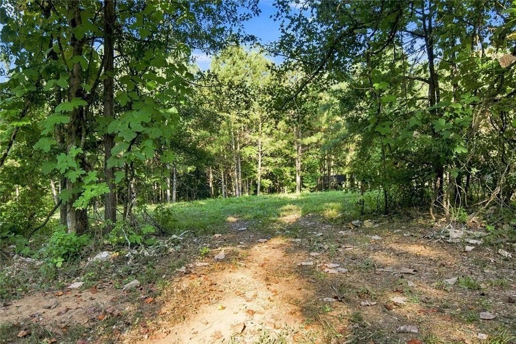 unimproved land for sale at 283 Leo Taylor Lane, Ball Ground, GA 30107 — photo 7