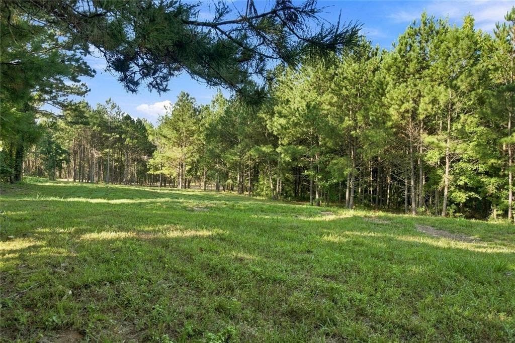 unimproved land for sale at 283 Leo Taylor Lane, Ball Ground, GA 30107 — photo 8
