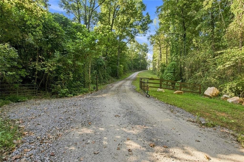 unimproved land for sale at 283 Leo Taylor Lane, Ball Ground, GA 30107 — photo 9