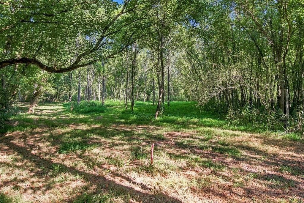 unimproved land for sale at 283 Leo Taylor Lane, Ball Ground, GA 30107 — photo 10