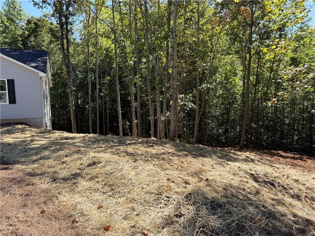 3 bedroom, 2 bathroom, 1,400 sq ft single family residence for sale at 569 Day Star Lane, Mount Airy, GA 30563 — photo 3