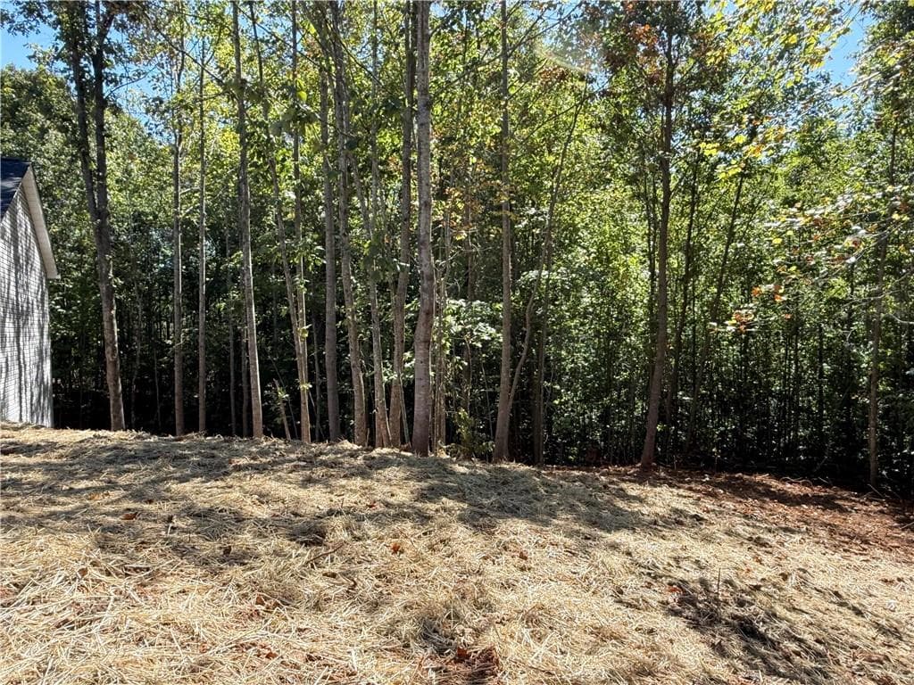 3 bedroom, 2 bathroom, 1,400 sq ft single family residence for sale at 569 Day Star Lane, Mount Airy, GA 30563 — photo 4