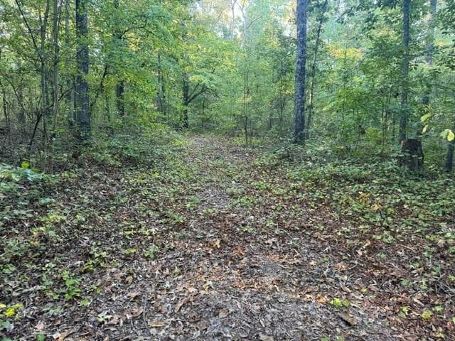 unimproved land for sale at 0 Owensby Lane, Adairsville, GA 30103