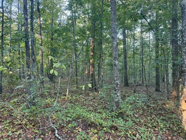 unimproved land for sale at 0 Owensby Lane, Adairsville, GA 30103 — photo 2