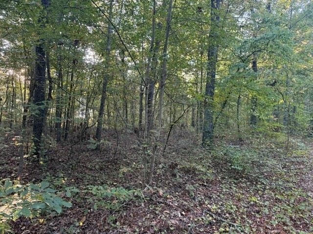 unimproved land for sale at 0 Owensby Lane, Adairsville, GA 30103 — photo 3