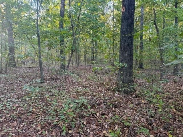 unimproved land for sale at 0 Owensby Lane, Adairsville, GA 30103 — photo 4