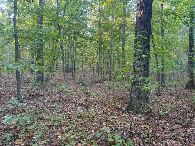 unimproved land for sale at 0 Owensby Lane, Adairsville, GA 30103 — photo 5
