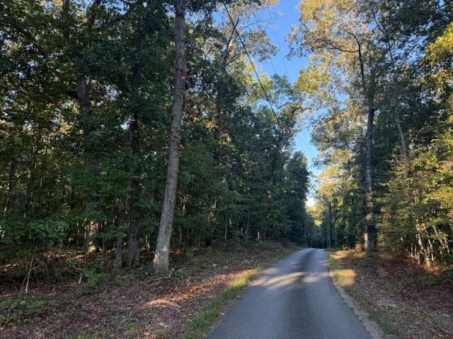 unimproved land for sale at 0 Owensby Lane, Adairsville, GA 30103 — photo 6