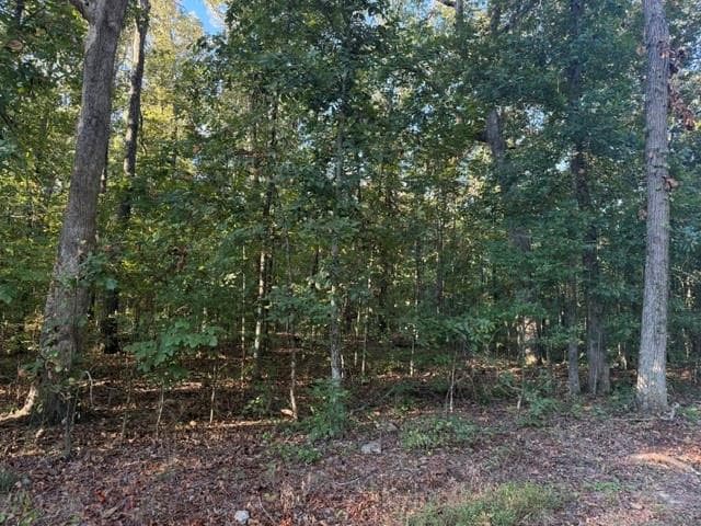 unimproved land for sale at 0 Owensby Lane, Adairsville, GA 30103 — photo 7
