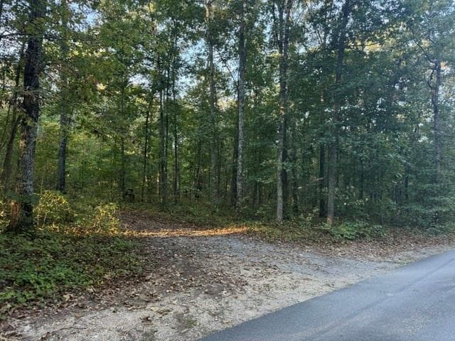 unimproved land for sale at 0 Owensby Lane, Adairsville, GA 30103 — photo 8