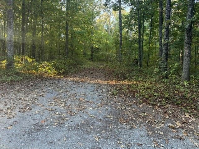 unimproved land for sale at 0 Owensby Lane, Adairsville, GA 30103 — photo 9