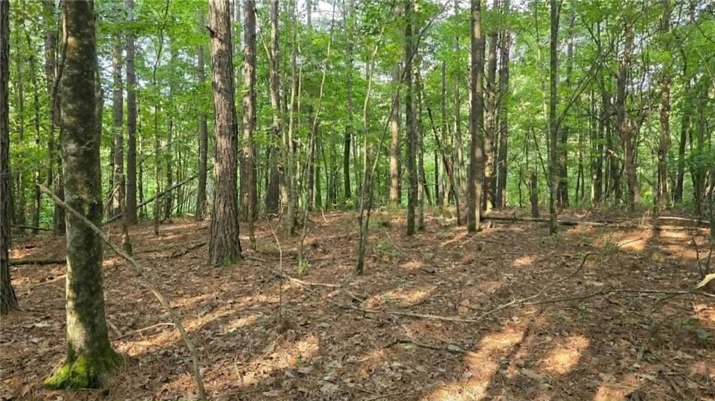unimproved land for sale at 2 Lucas Lane, Dallas, GA 30132