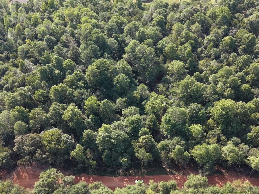 single family residence for sale at 0 Hurt Bridge Road, Cumming, GA 30028 — photo 10