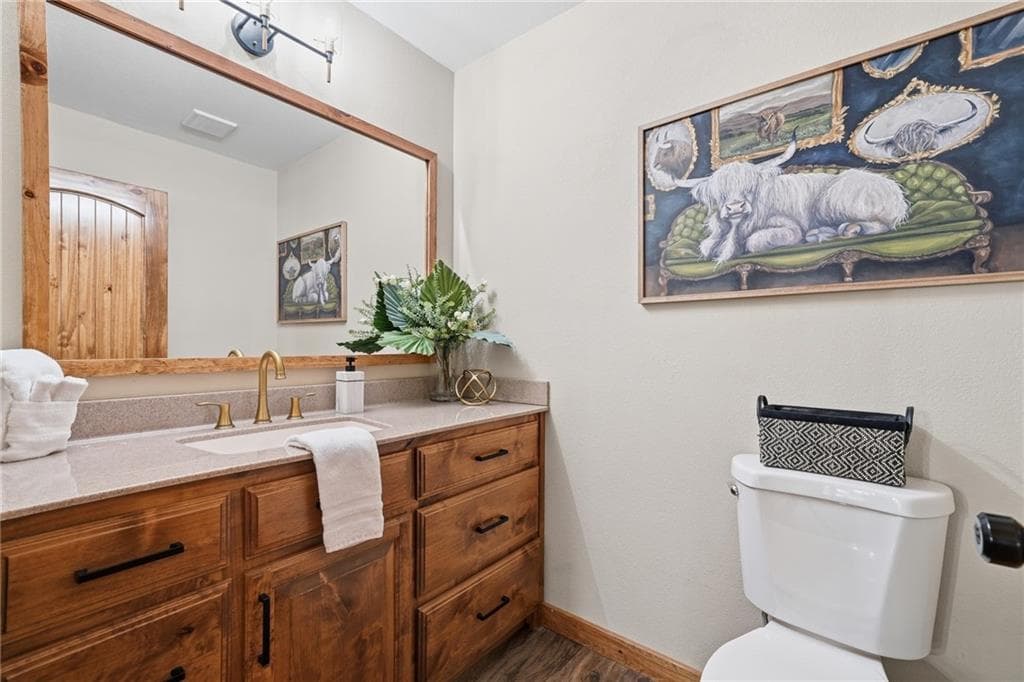 4 bedroom, 4 bathroom, 3,678 sq ft single family residence for sale at 4687 Murphy Highway, Mineral Bluff, GA 30559 — photo 9