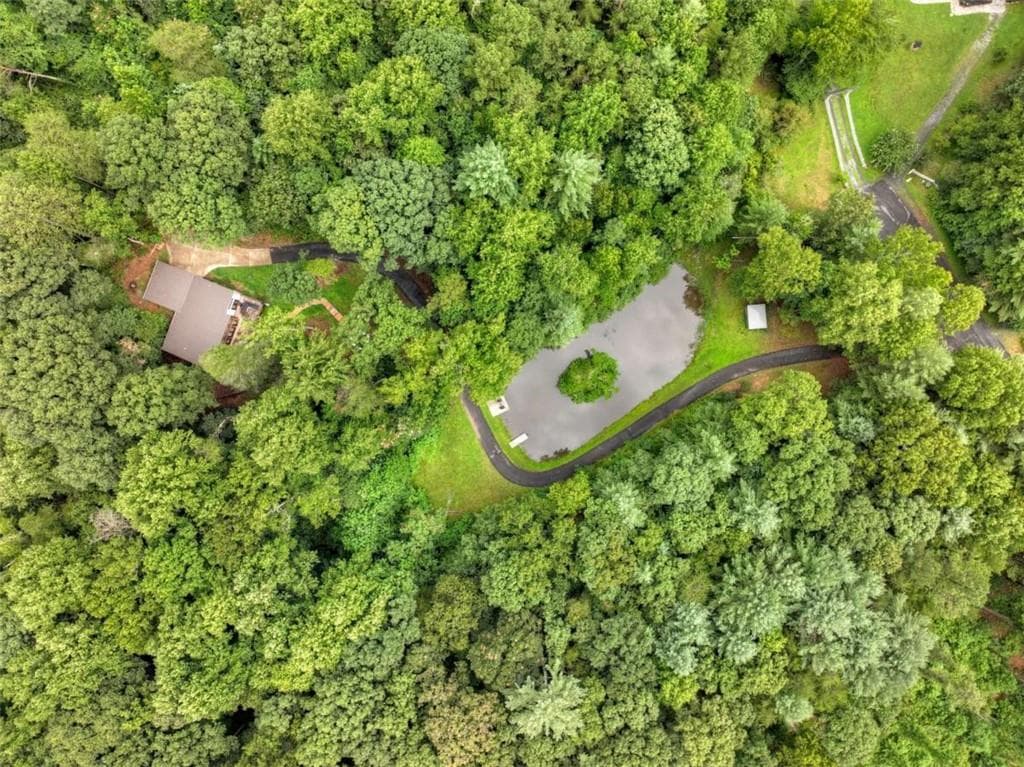 3 bedroom, 4 bathroom, 2,329 sq ft single family residence for sale at 1009 Hefner Lake Road, Ellijay, GA 30536 — photo 6
