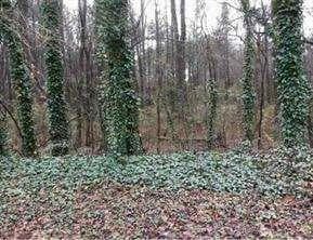 single family residence for sale at 2115 LOGAN Drive, Jonesboro, GA 30236 — photo 4