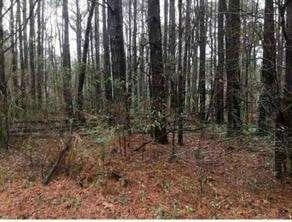 single family residence for sale at 2115 LOGAN Drive, Jonesboro, GA 30236 — photo 6