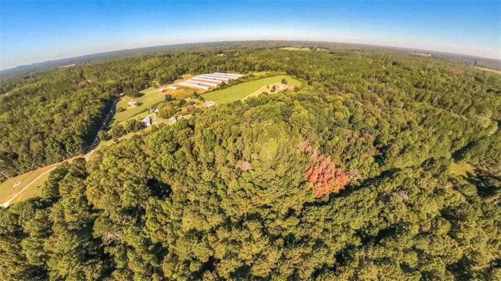 unimproved land for sale at 0 Cown Road, Villa Rica, GA 30180 — photo 6