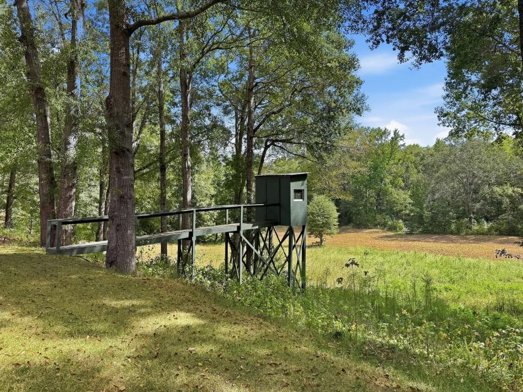 5 bedroom, 5 bathroom, 3,859 sq ft single family residence for sale at 1940 Macedonia Road, Mansfield, GA 30055 — photo 5