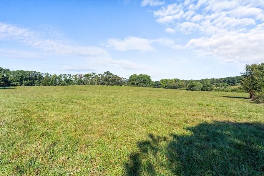 other for sale at 880 Burwell Mount Zion Road, Carrollton, GA 30117 — photo 7