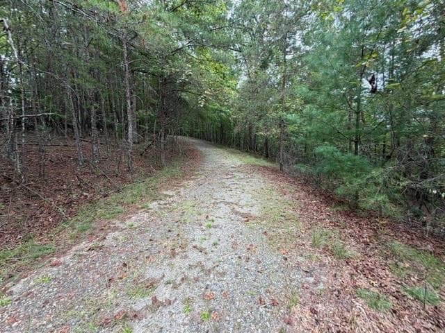single family residence for sale at Lot 20 Horseshoe Bend Road, Dahlonega, GA 30533 — photo 4
