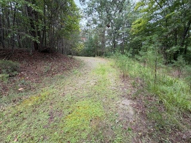 single family residence for sale at Lot 20 Horseshoe Bend Road, Dahlonega, GA 30533 — photo 3