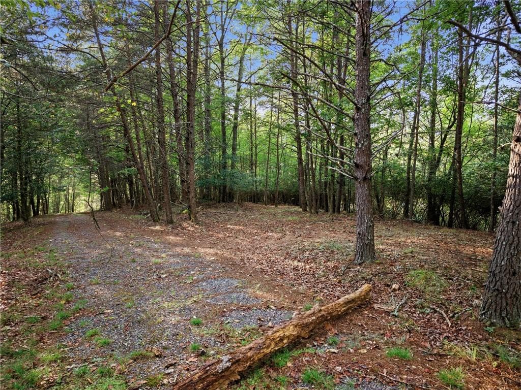 single family residence for sale at Lot 20 Horseshoe Bend Road, Dahlonega, GA 30533 — photo 5