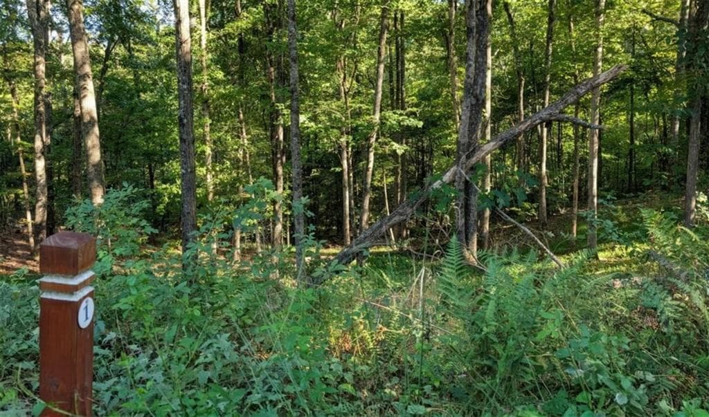 single family residence for sale at LOT 1 White Oak Circle, Blue Ridge, GA 30513 — photo 2